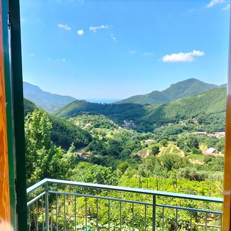 La Casa In Vigna Villa Tramonti Eksteriør billede