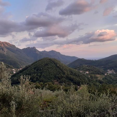 La Casa In Vigna Villa Tramonti Værelse billede