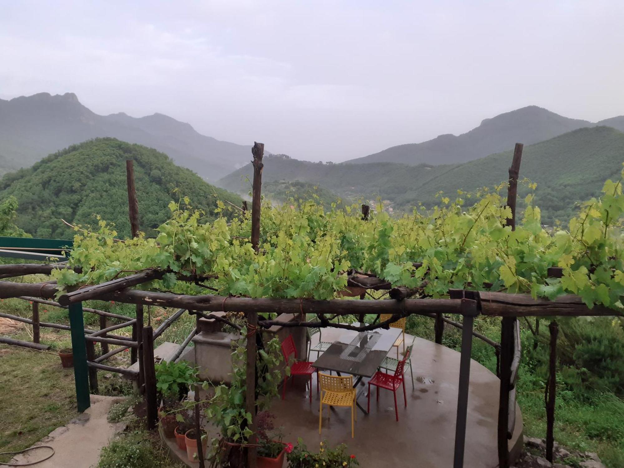 La Casa In Vigna Villa Tramonti Eksteriør billede