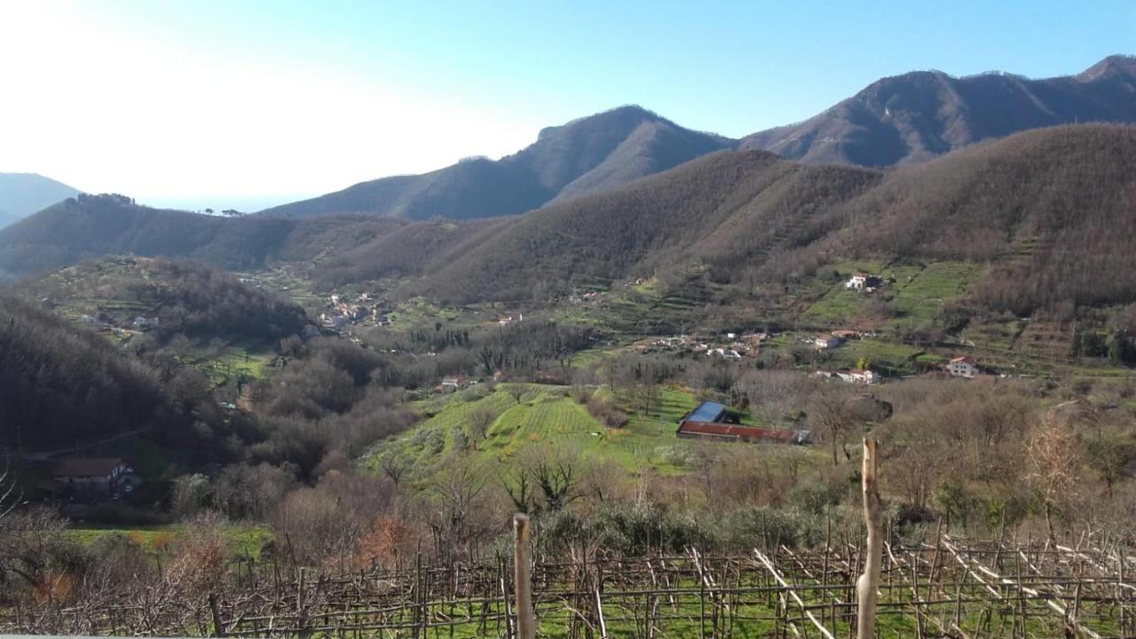 La Casa In Vigna Villa Tramonti Eksteriør billede